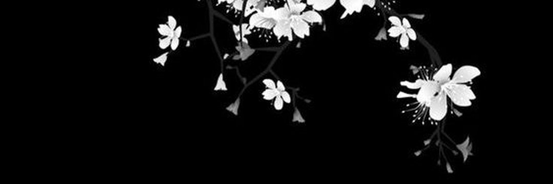 wanderdusk's profile banner image