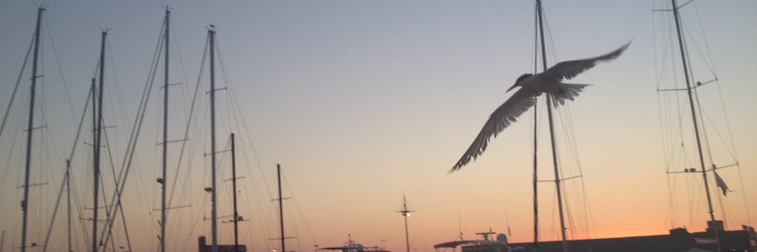 usaipiero's profile banner image