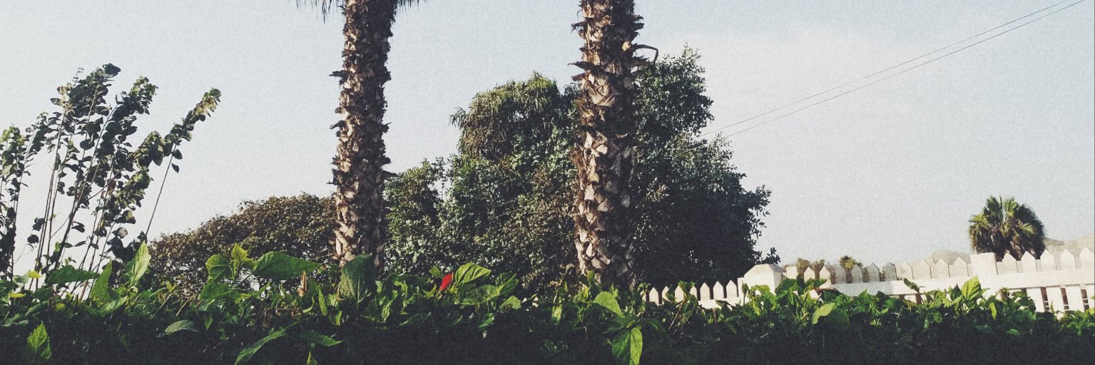 EdsonSbeth's profile banner image