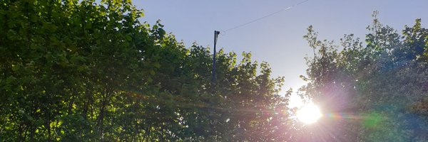 mw0ian Profile Banner