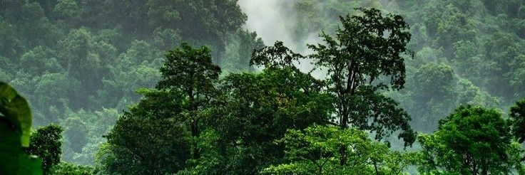 karatperfume's profile banner image