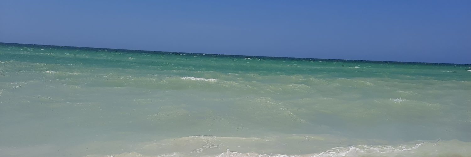 tercamx's profile banner image