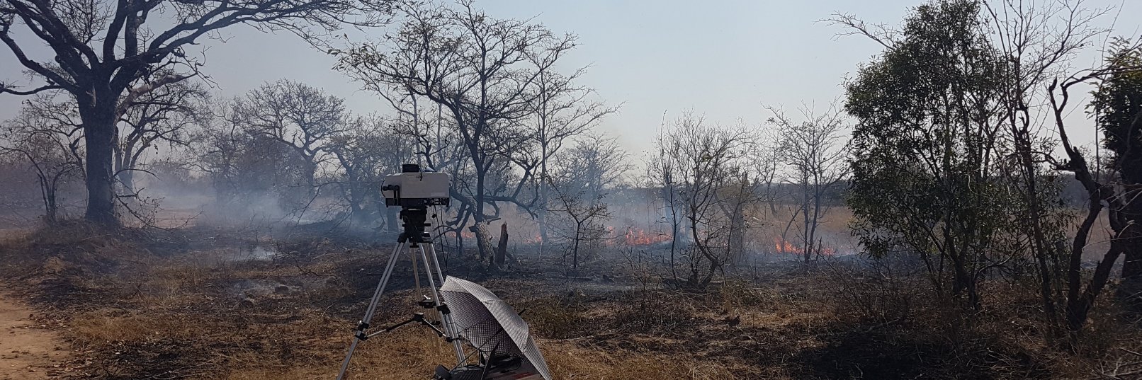 Kings-NCEO: Earth Obs & Wildfire Research Group banner
