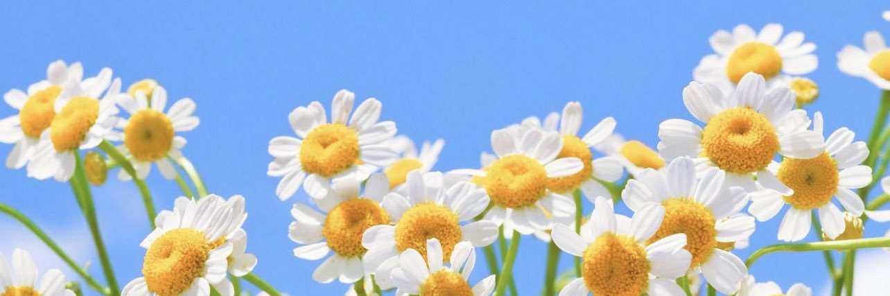 💛 banner