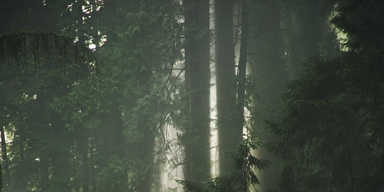 unehippieenrush's profile banner image