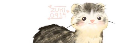 TheDustySocks's profile banner image