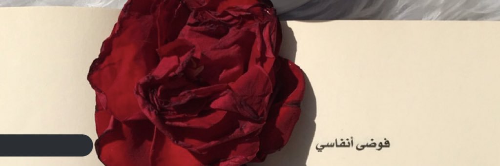 16640_'s profile banner image