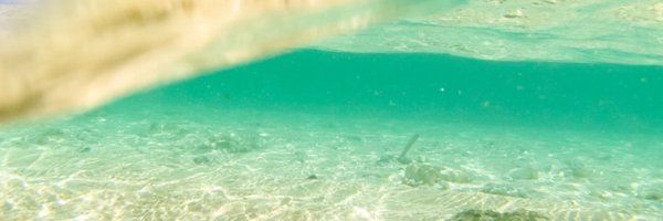 w202taka Profile Banner