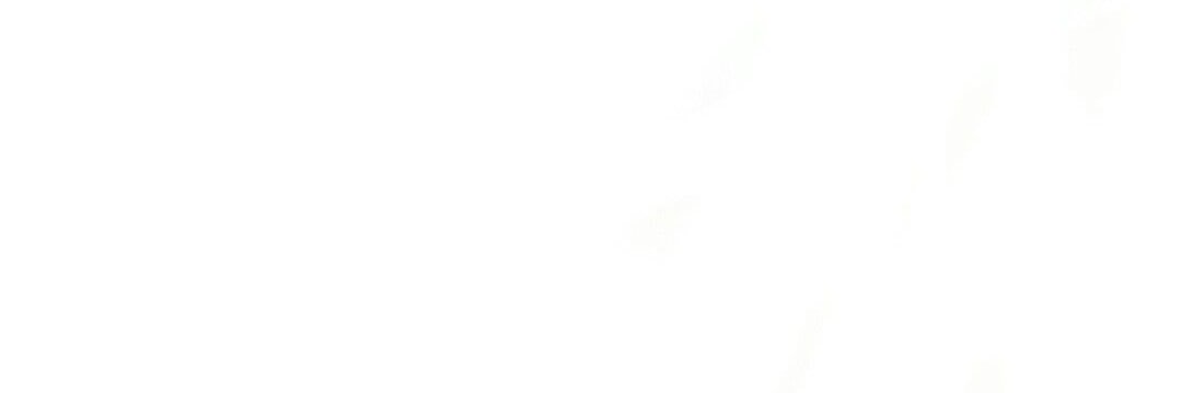 noahjmes11's profile banner image