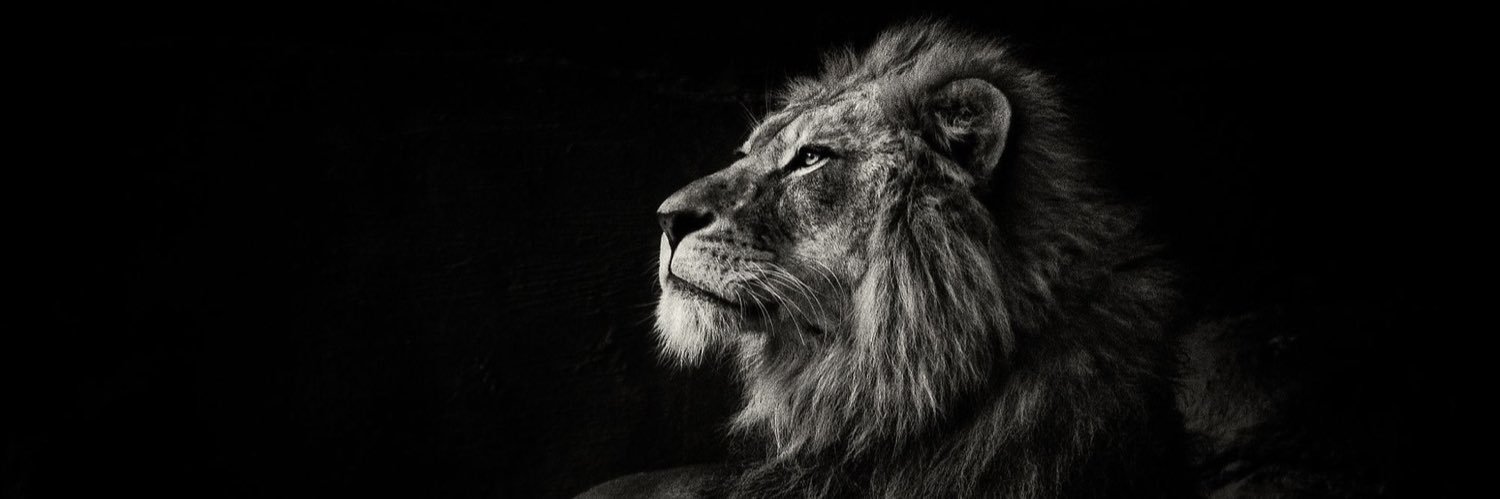 ianandrewnelson's profile banner image
