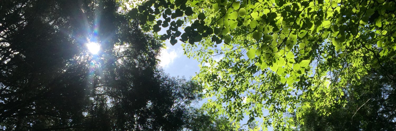 ejae_00's profile banner image
