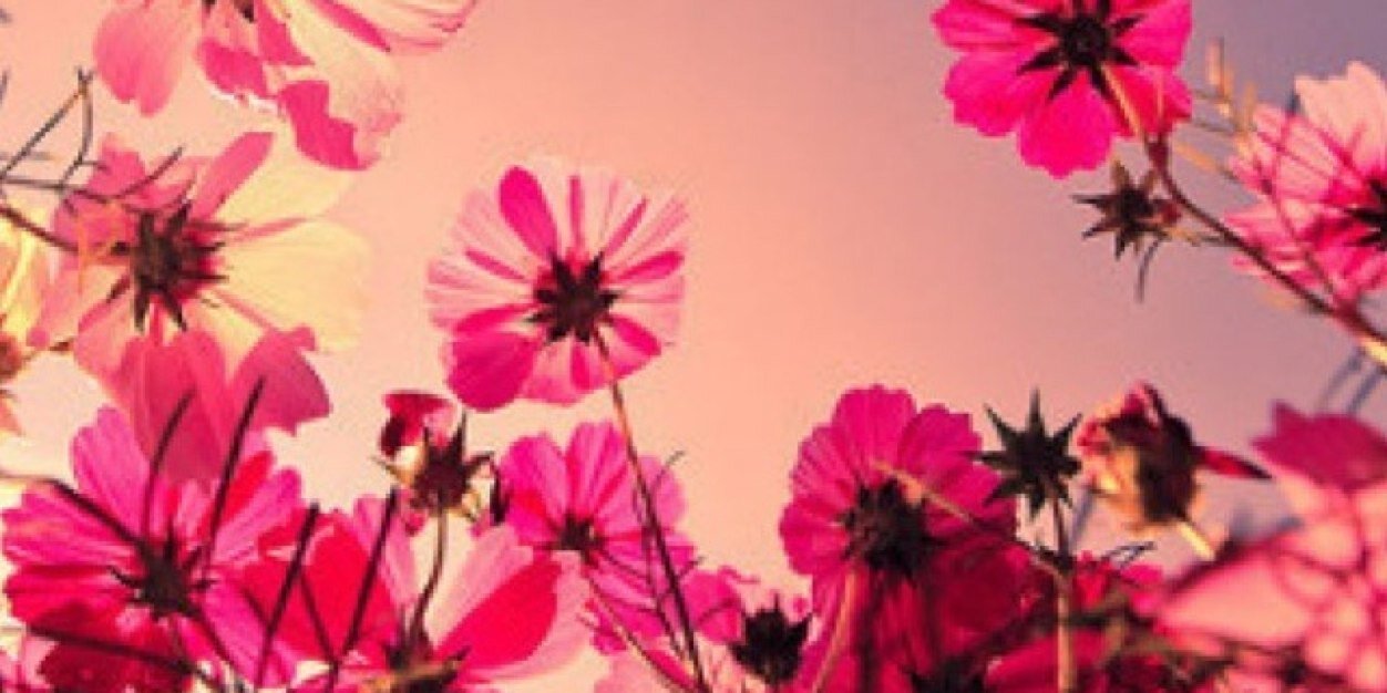 jancodger93's profile banner image
