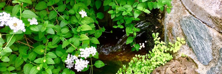 韓国妻と僕ひも男 banner