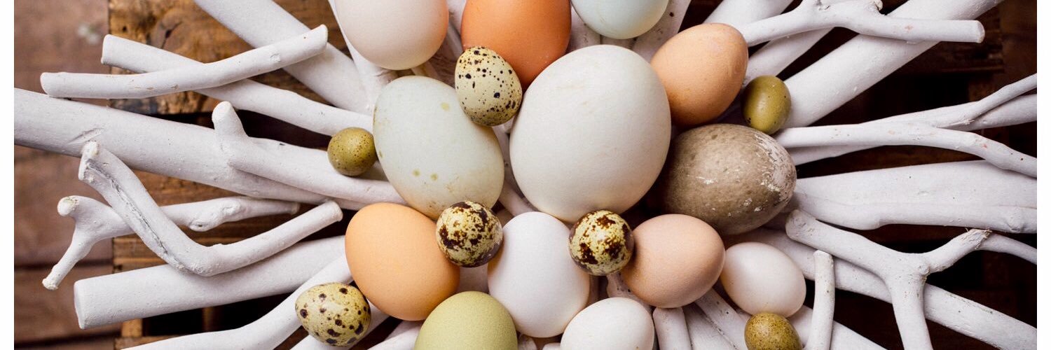 Full Steam Pictures banner