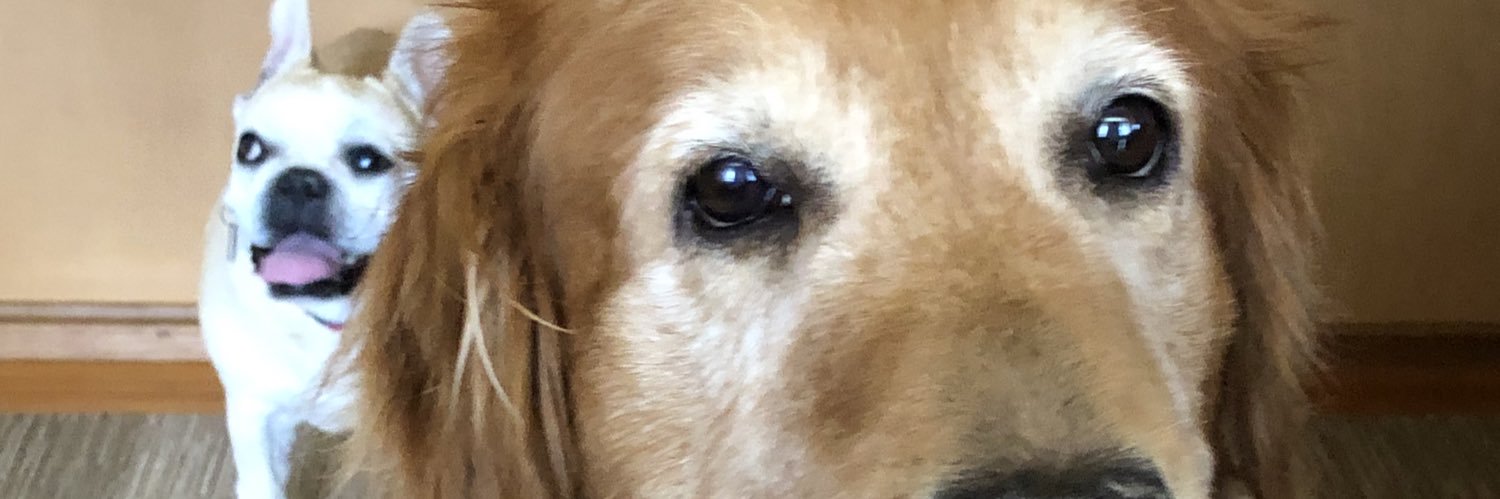 wankolove🐶🫶 banner