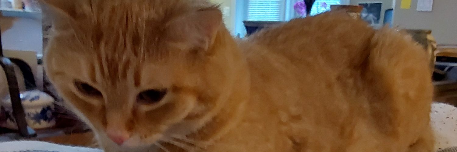 Ruth 😊💞 banner