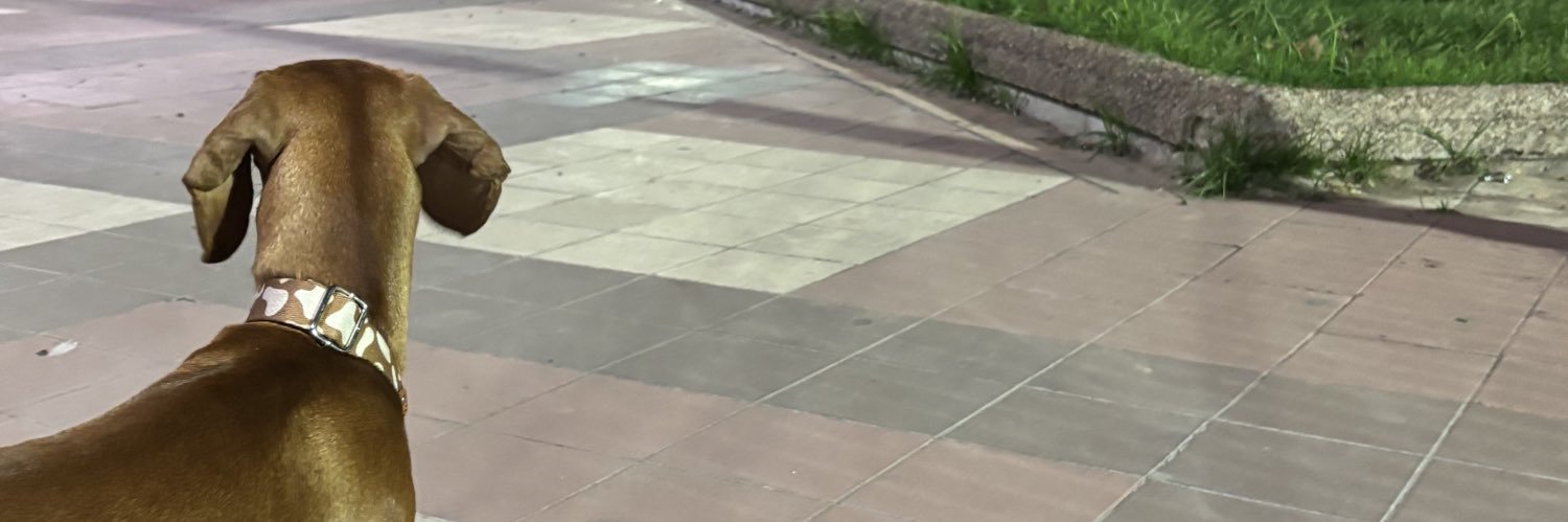 luisaaanaa2's profile banner image