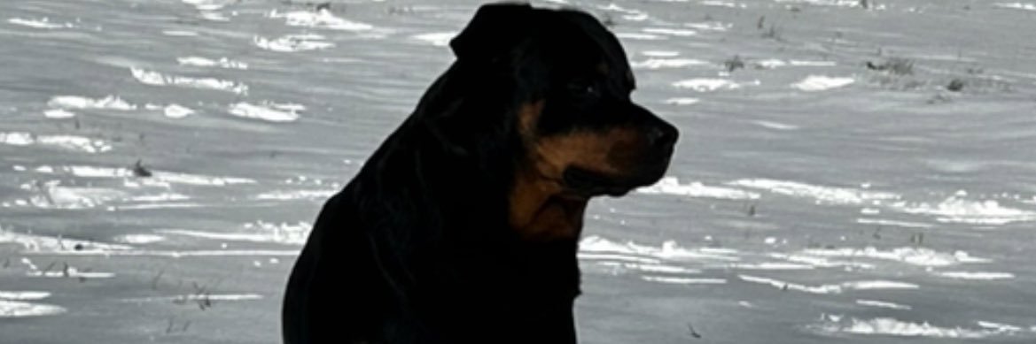 Brandon Jones banner