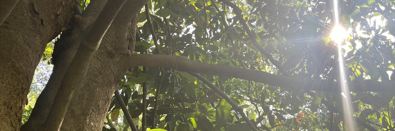 Nicole T. Goode banner