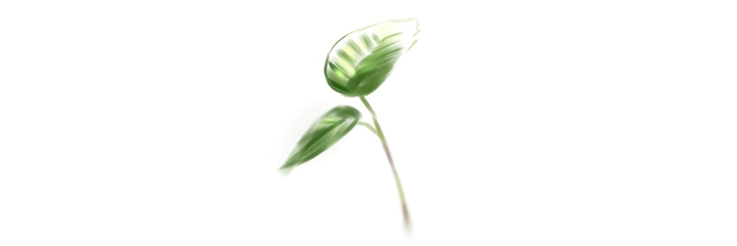 🌱 banner