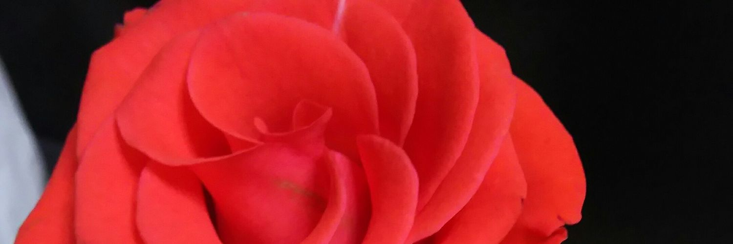 sk_receiver's profile banner image