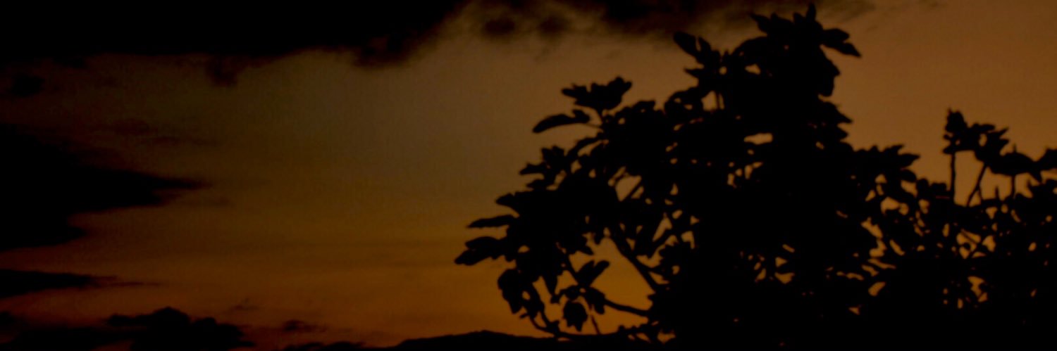 lilianiux19's profile banner image