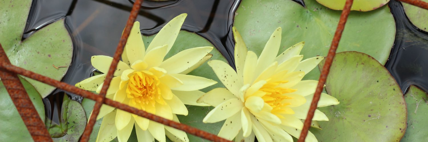 KierstenHarper's profile banner image