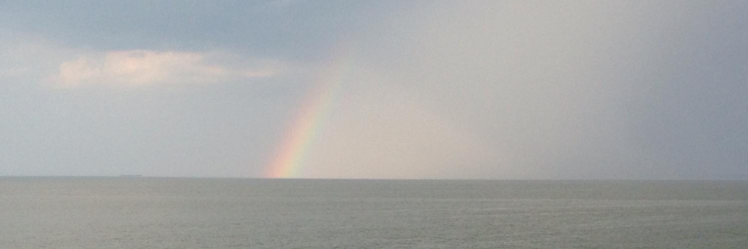 Cameron Vadersen banner