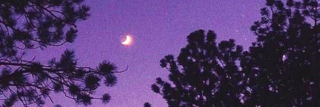 jvinquietem's profile banner image