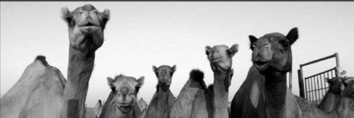D___7h's profile banner image