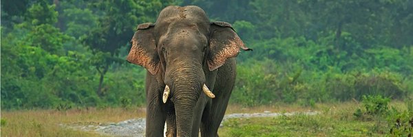 Satyaki_R Profile Banner