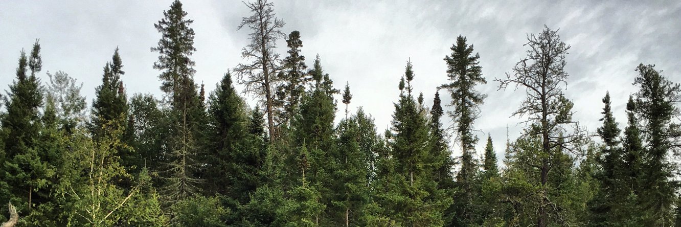 jaymurray's profile banner image