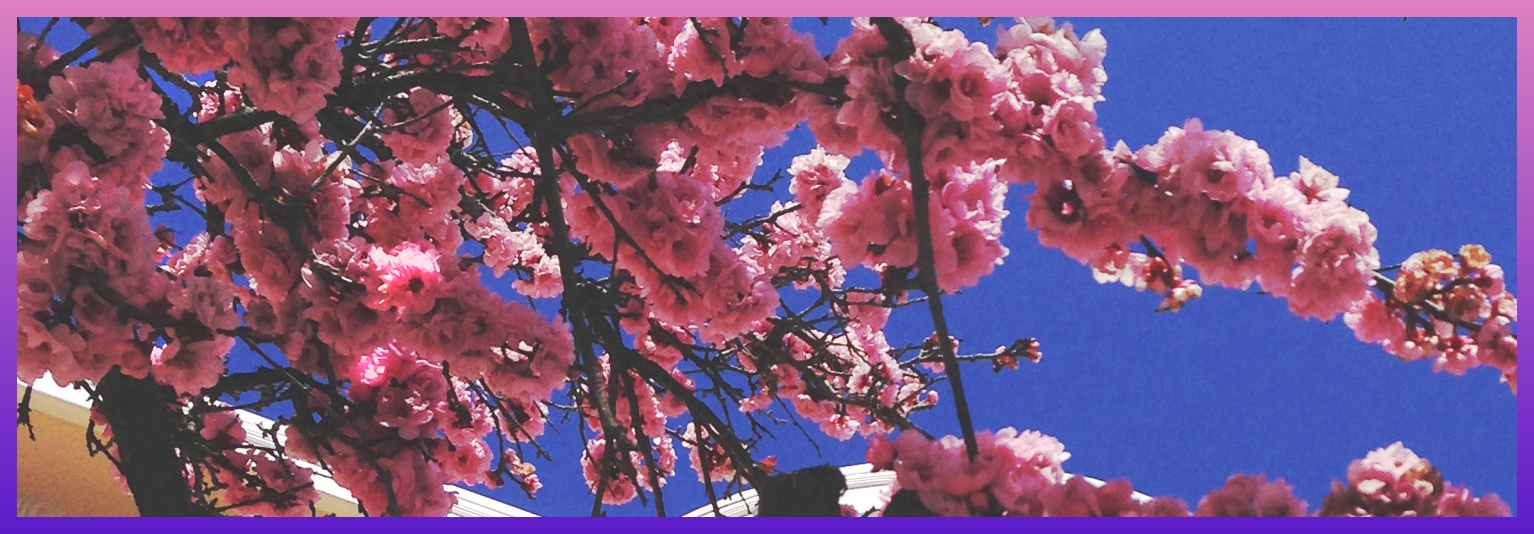 LadiZeneli's profile banner image