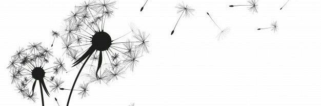 06RKSXJU's profile banner image