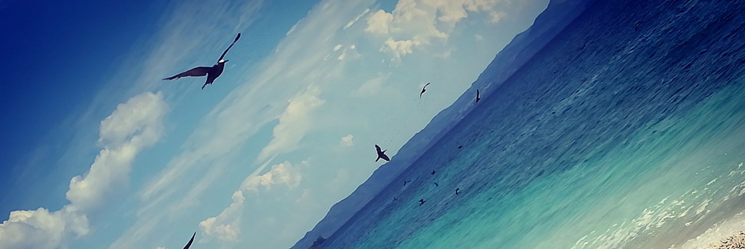 Laria982's profile banner image