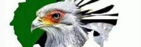 rramooooo's profile banner image
