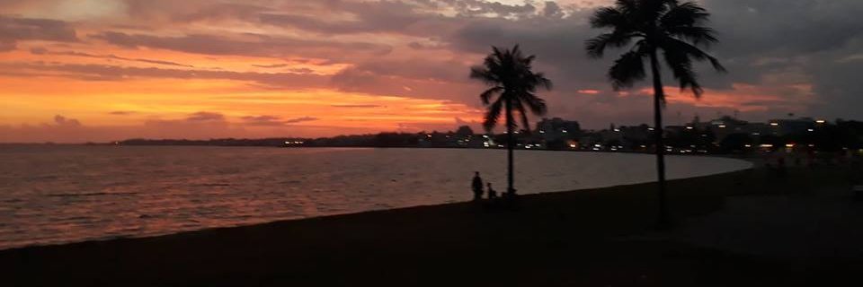 Brunottor's profile banner image