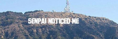hey_bitches's profile banner image