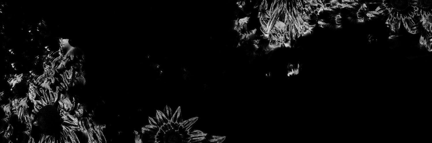 zeminilea's profile banner image