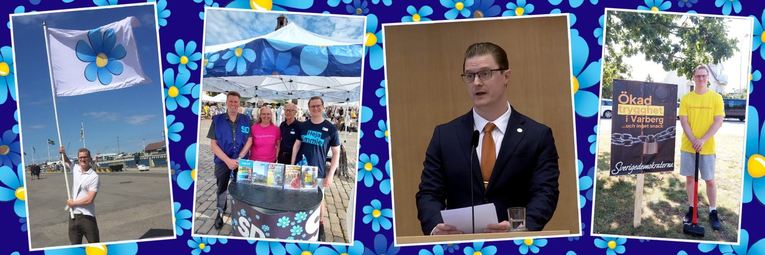 Erik Hellsborn (SD) banner