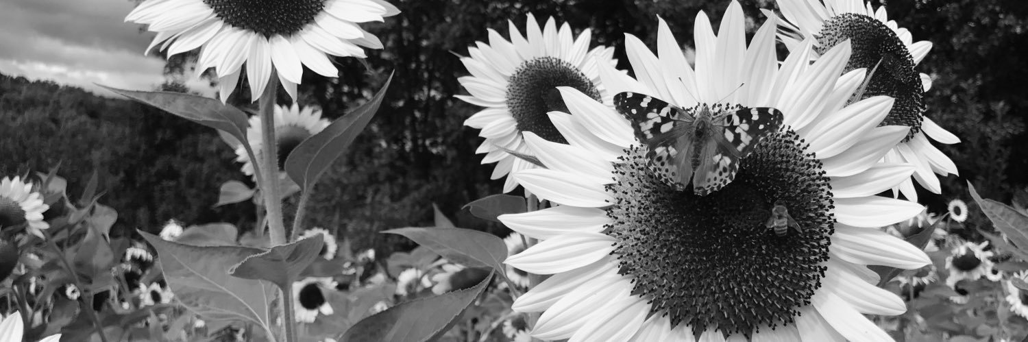 Liz_Pinney's profile banner image