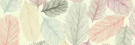 lizeethlopez's profile banner image