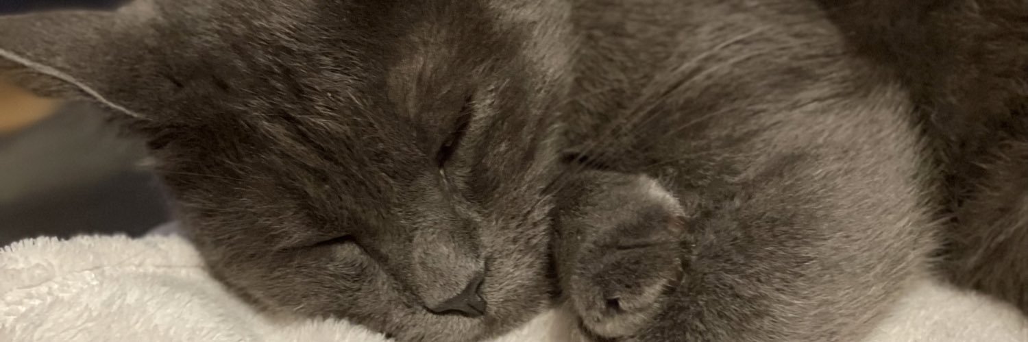 moha_alex_sofia's profile banner image