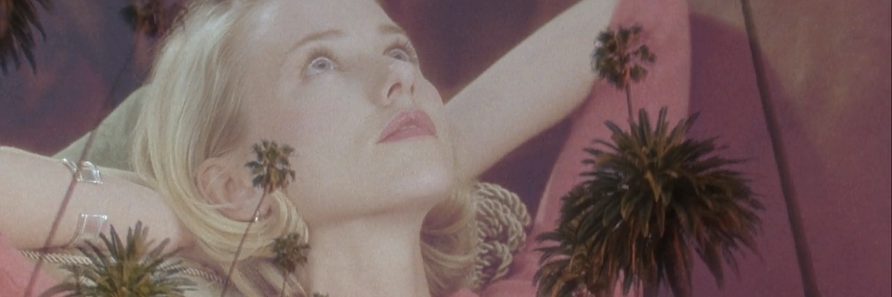 Elisabethcd's profile banner image