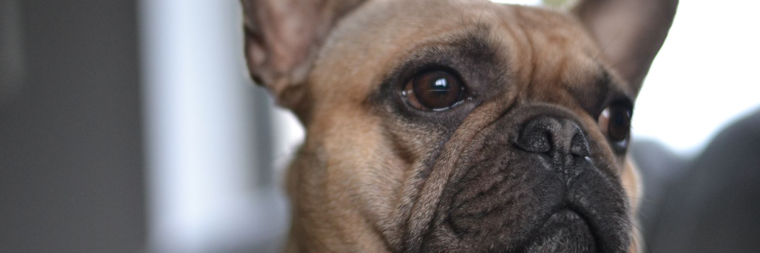 trevorbren's profile banner image