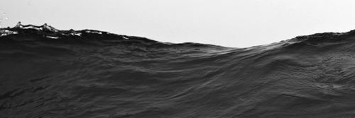 pmpry's profile banner image