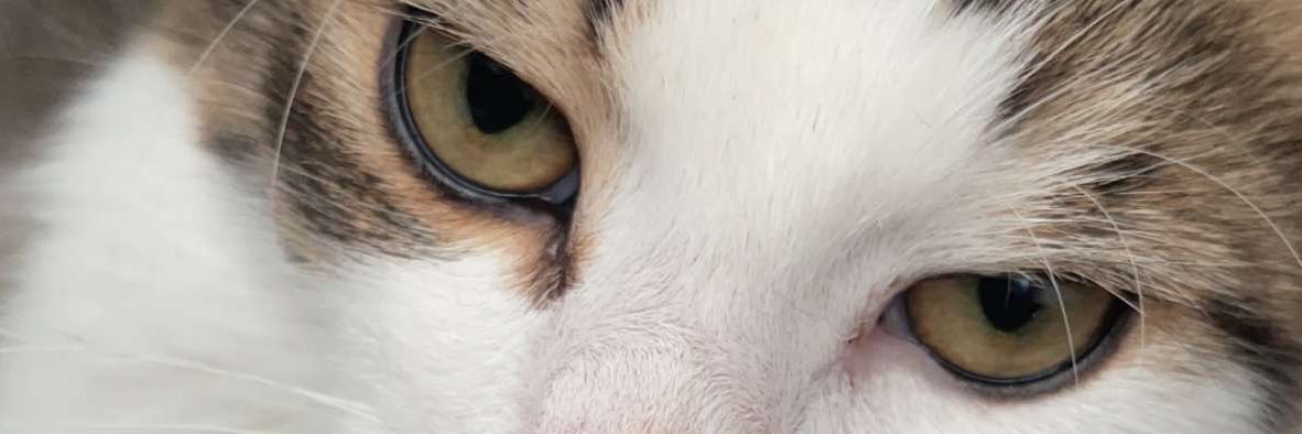 dfromtp's profile banner image