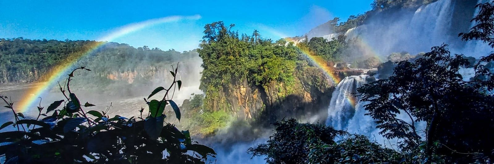 dongo_francisco's profile banner image