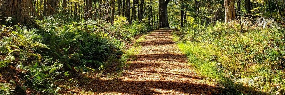 Marina Garcia banner