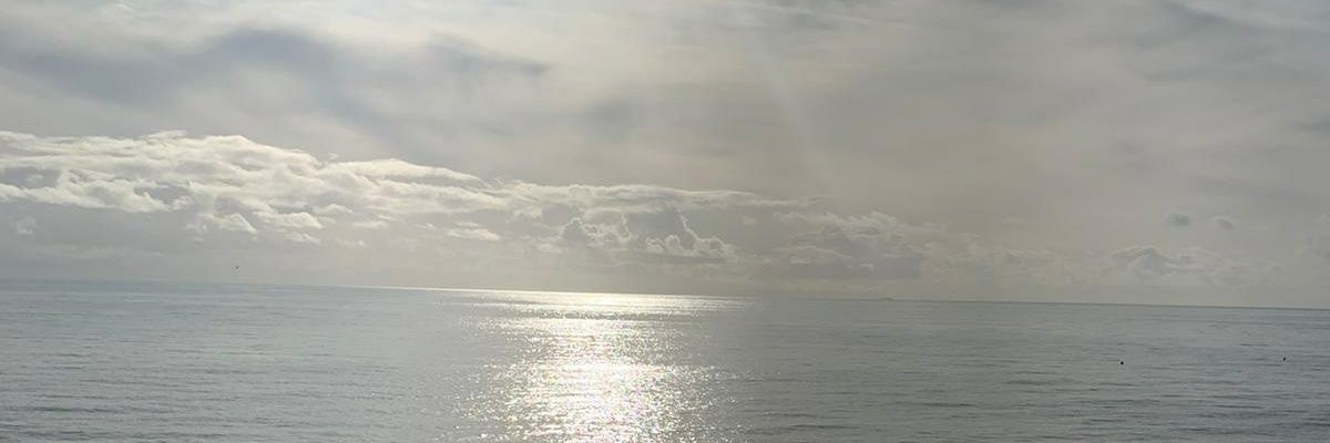Netty_1982's profile banner image